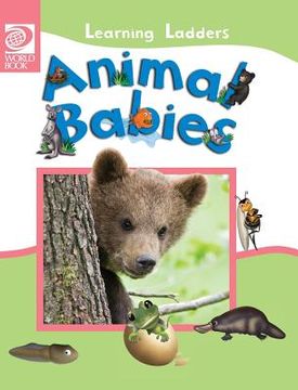 portada Animal Babies (en Inglés)