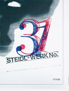 portada Steidl-Werk No. 31: Ghosts in the Machine (en Inglés)
