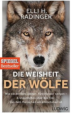 portada Die Weisheit der Wölfe: Wie sie Denken, Planen, Füreinander Sorgen. Erstaunliches Über das Tier, das dem Menschen am Ähnlichsten ist (in German)