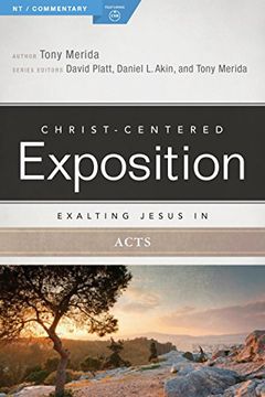 portada Exalting Jesus in Acts (Christ-Centered Exposition Commentary)