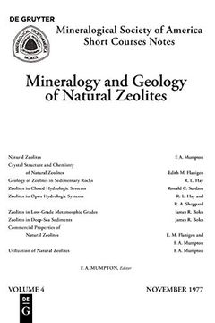 portada Mineralogy and Geology of Natural Zeolites (Reviews in Mineralogy & Geochemistry) (en Inglés)