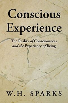 portada Conscious Experience: The Reality of Consciousness and the Experience of Being 