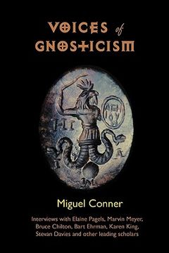 portada voices of gnosticism: interviews with elaine pagels, marvin meyer, bart ehrman, bruce chilton and other leading scholars