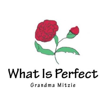 portada What Is Perfect (in English)