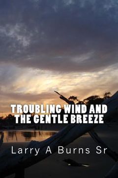 portada Troubling Wind and the Gentle Breeze (en Inglés)