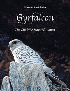 portada Gyrfalcon: The one who Stays all Winter (en Inglés)