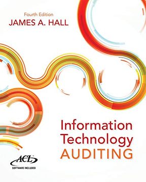 portada Information Technology Auditing (en Inglés)