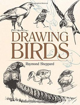 portada Drawing Birds (Dover Art Instruction)