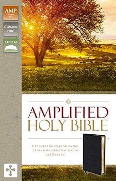 portada Amplified Holy Bible, Bonded Leather, Black: Captures the Full Meaning Behind the Original Greek and Hebrew (en Inglés)