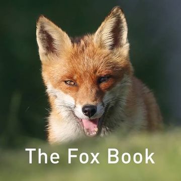 portada The fox Book (The Nature Book Series) (en Inglés)