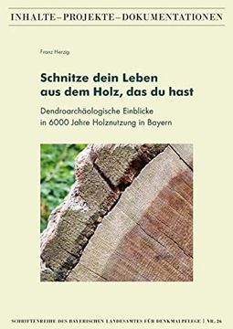 portada Schnitze Dein Leben aus dem Holz, das du Hast - Dendroarchäologische Einblicke in 6000 Jahre Holznutzung in Bayern (en Alemán)
