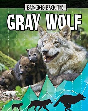 portada Bringing Back the Gray Wolf (Animals Back From the Brink) (en Inglés)