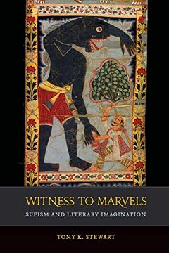 portada Witness to Marvels: Sufism and Literary Imagination (Volume 2) (Islamic Humanities) (en Inglés)