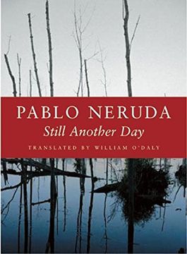 portada Still Another day (in Spanish)