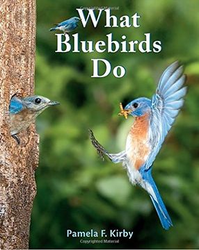 portada What Bluebirds do (en Inglés)