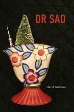 portada Dr sad (Brave & Brilliant) (en Inglés)