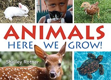 portada Animals! Here we Grow (en Inglés)