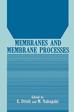 portada Membranes and Membrane Processes (en Inglés)