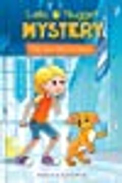 portada Leila & Nugget Mystery: The Case With no Clues (Volume 2) (Leila and Nugget Mysteries) (en Inglés)