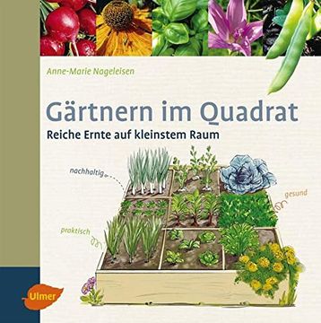 portada Gärtnern im Quadrat: Reiche Ernte auf Kleinstem Raum (in German)
