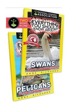 portada Everything You Should Know About: Swans and Pelicans (en Inglés)