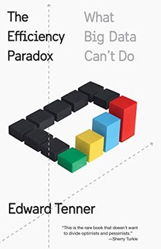 portada The Efficiency Paradox: What big Data Can't do (en Inglés)