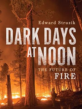 portada Dark Days at Noon: The Future of Fire (en Inglés)