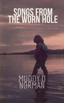 portada Songs from the Worn Hole: selected poems 1995 2017 (en Inglés)