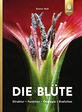 portada Die Blüte (in German)