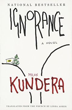 Ignorance (en Inglés)