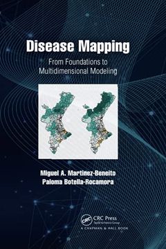 portada Disease Mapping: From Foundations to Multidimensional Modeling 