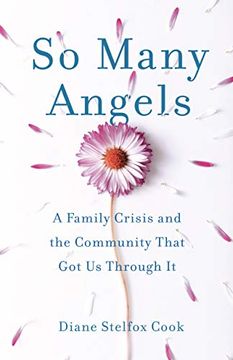 portada So Many Angels: A Family Crisis and the Community That got us Through it 