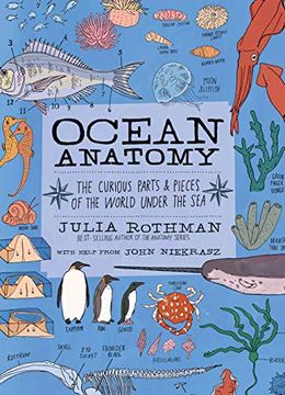 portada Ocean Anatomy: The Curious Parts & Pieces of the World Under the sea (en Inglés)
