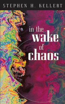 portada In the Wake of Chaos: Unpredictable Order in Dynamical Systems (en Inglés)