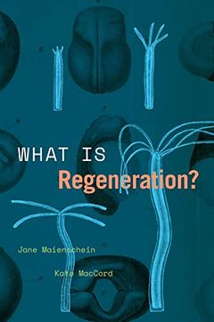 portada What is Regeneration? (Convening Science: Discovery at the Marine Biological Laboratory) (en Inglés)