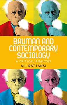 portada Bauman and Contemporary Sociology: A Critical Analysis (in English)