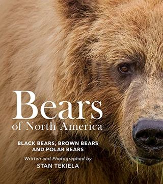 portada Bears of North America: Black Bears, Brown Bears, and Polar Bears (Favorite Wildlife) (en Inglés)