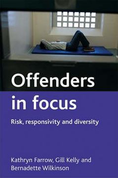 portada offenders in focus: risk, responsivity and diversity (en Inglés)