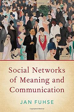portada Social Networks of Meaning and Communication (Hardback) (en Inglés)