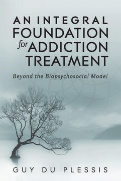portada An Integral Foundation for Addiction Treatment: Beyond the Biopsychosocial Model (in English)