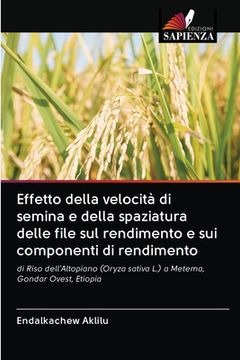 portada Effetto della velocità di semina e della spaziatura delle file sul rendimento e sui componenti di rendimento (en Italiano)