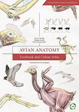 portada Avian Anatomy: Textbook and Colour Atlas (Second Edition)