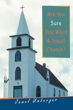 portada are you sure you want a small church?