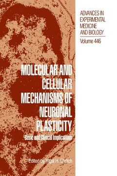 portada Molecular and Cellular Mechanisms of Neuronal Plasticity: Basic and Clinical Implications (in English)