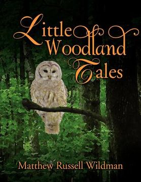 portada little woodland tales (en Inglés)