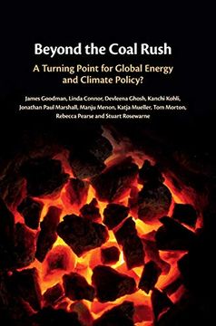 portada Beyond the Coal Rush: A Turning Point for Global Energy and Climate Policy? 