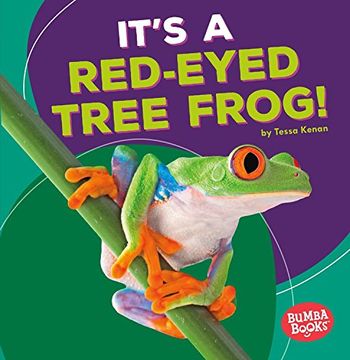 portada It's a Red-Eyed Tree Frog!