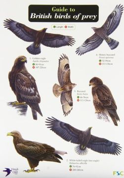 portada Guide to British Birds of Prey (Chart)