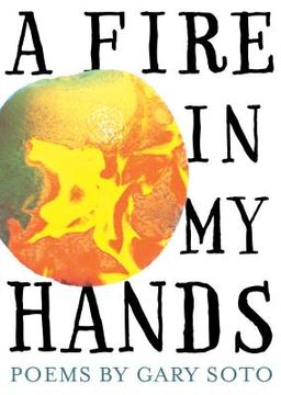 portada a fire in my hands: revised and expanded edition