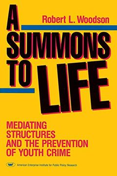 portada A Summons to Life: Mediating Structures and the Prevention of Youth Crime (in English)